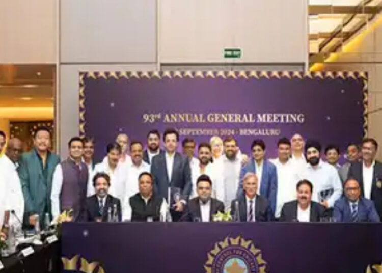 Does BCCI need an external investment in IPL? No way, say members