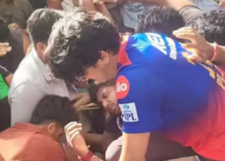 Harmless fandom has turned into a dangerous cult following