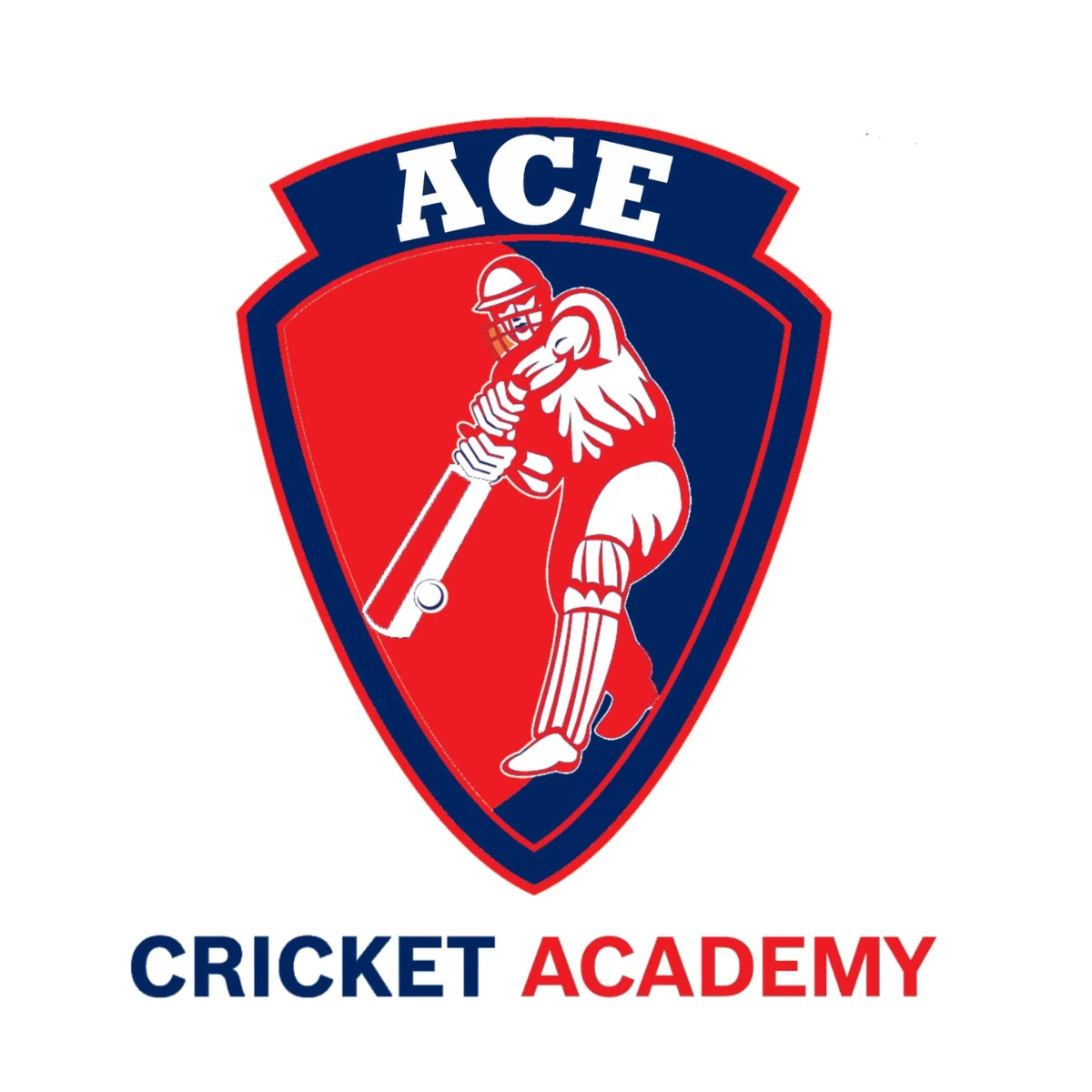 Home - CricBlogger